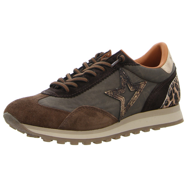 Cetti Sneaker C1259 cacao - Bild 1