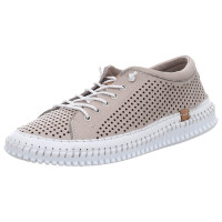 Andrea Conti Schnürschuhe new taupe/ kombi