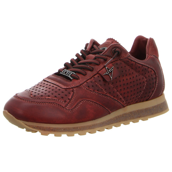Cetti Sneaker C848 burdeos - Bild 1