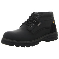 camel active Schnürschuhe schwarz